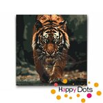 Paint by numbers Hunting Tiger