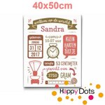 Diamond Painting Gepersonaliseerd Geboortebord Roze Groen