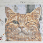 Wink Cat Fuse Beads Set
