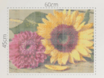 Fuse Beads Set Flowers