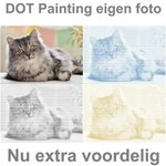 DOT Painting van eigen foto Basic (papier)