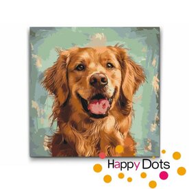 Paint by numbers Dog - Golden Retriever