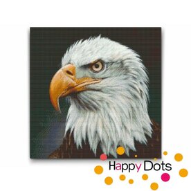 Diamond Painting Portrait Eagle