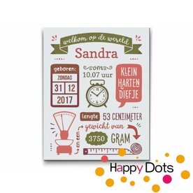 Schilderen op nummer Gepersonaliseerd Geboortebord Roze Groen