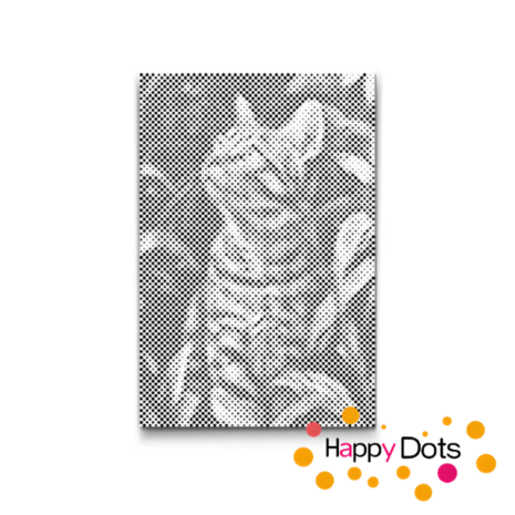DOT Painting Katten 03