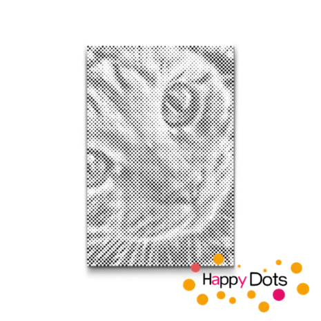 DOT Painting Katten 06
