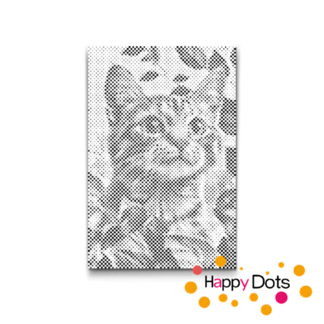 DOT Painting Katten 17