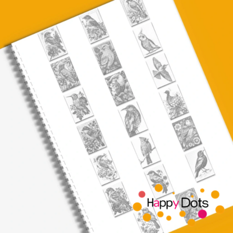 DOT Painting Kleurboek Vogels