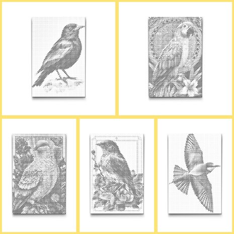 DOT Painting Kleurboek Vogels