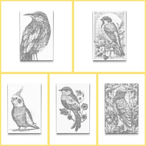 DOT Painting Kleurboek Vogels