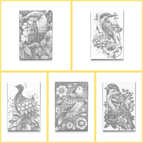 DOT Painting Kleurboek Vogels