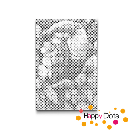 DOT Painting Vogels 04