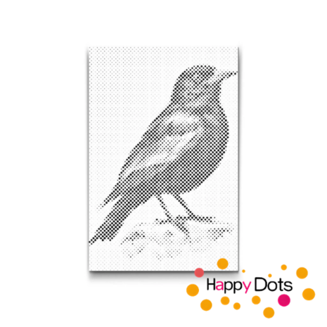 DOT Painting Vogels 13