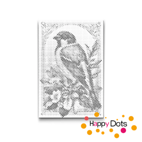 DOT Painting Vogels 16