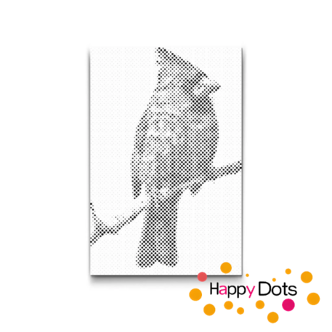 DOT Painting Vogels 18