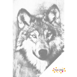 DOT Painting Wolvenkop