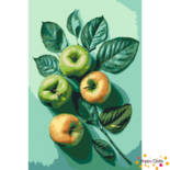 Malen nach Zahlen Zweig mit Äpfeln