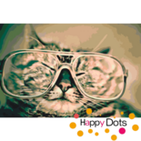 Malen nach Zahlen Katze mit Sonnenbrille
