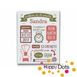 Schilderen op nummer Gepersonaliseerd Geboortebord Roze Groen