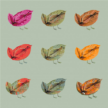 Schilderen op nummer Vogeltjes gemaakt van bladeren