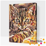 Schilderen op nummer Nieuwsgierige kitten