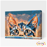 Schilderen op nummer Nieuwsgierig katje