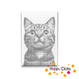 DOT Painting Katten 13