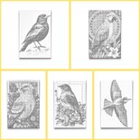DOT Painting Kleurboek Vogels