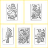 DOT Painting Kleurboek Vogels