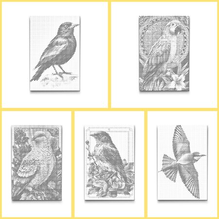 DOT Painting Coloring Book Birds