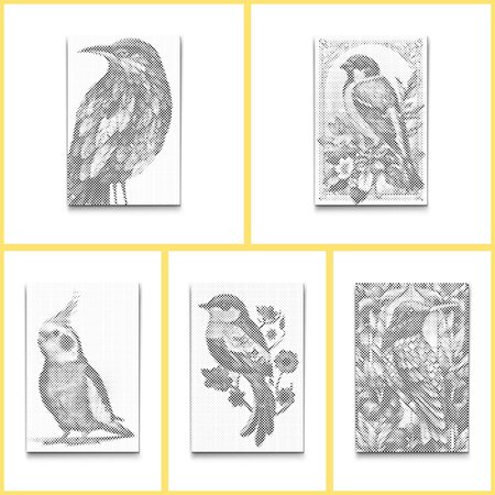DOT Painting Coloring Book Birds