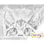 DOT Painting Les yeux du chat