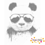 DOT Painting Panda avec lunettes de soleil