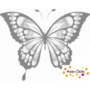 DOT Painting Butterfly