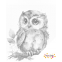 DOT Painting Cute Owl
