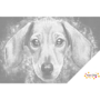 DOT Painting Dachshund