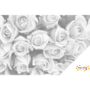 DOT Painting Bouquet of Roses