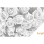 DOT Painting Bouquet de roses