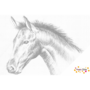 DOT Painting Horse