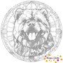 DOT Painting Hond - Chow Chow