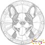 DOT Painting Hond - Boston Terrier