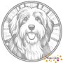 DOT Painting Hond - Bearded Collie
