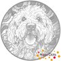 DOT Painting Dog - Cockapoo