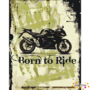 Schilderen op nummer Born to ride