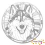 DOT Painting Hond - Husky