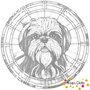 DOT Painting Dog - Shih Tzu