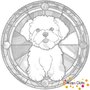 DOT Painting Dog - Maltese