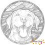 DOT Painting Hond - Labrador Retriever