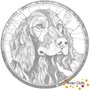 DOT Painting Hond - Ierse Setter