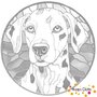 DOT Painting Hond - Dalmatier
